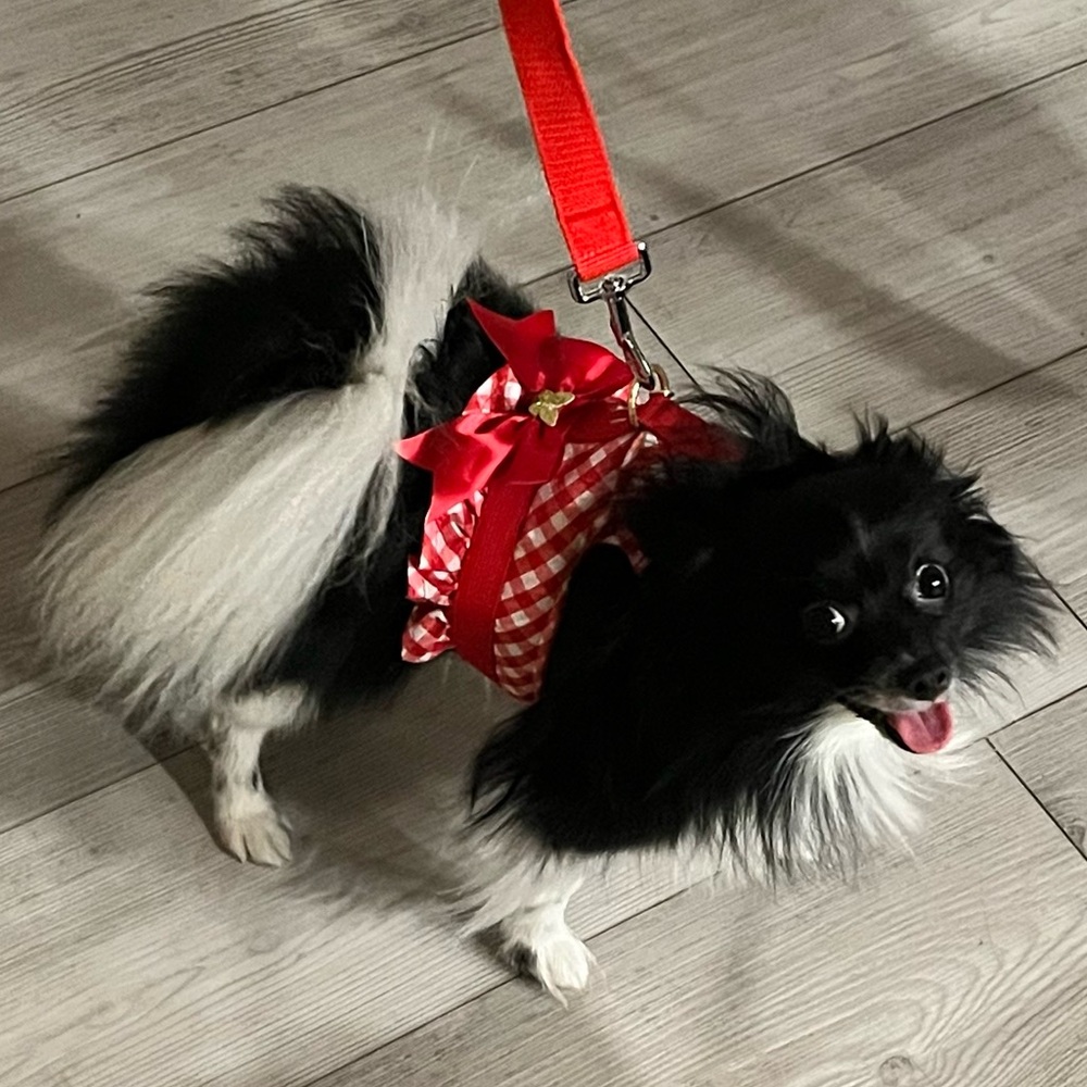 Meet your Posher, Jaslene